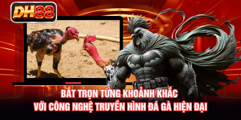 Bắt trọn từng khoảnh khắc với công nghệ truyền hình đá gà hiện đại