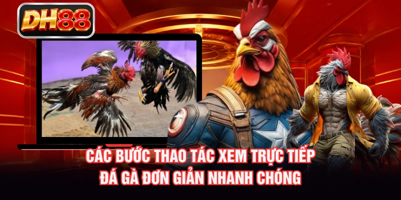 Các bước thao tác xem trực tiếp đá gà đơn giản nhanh chóng