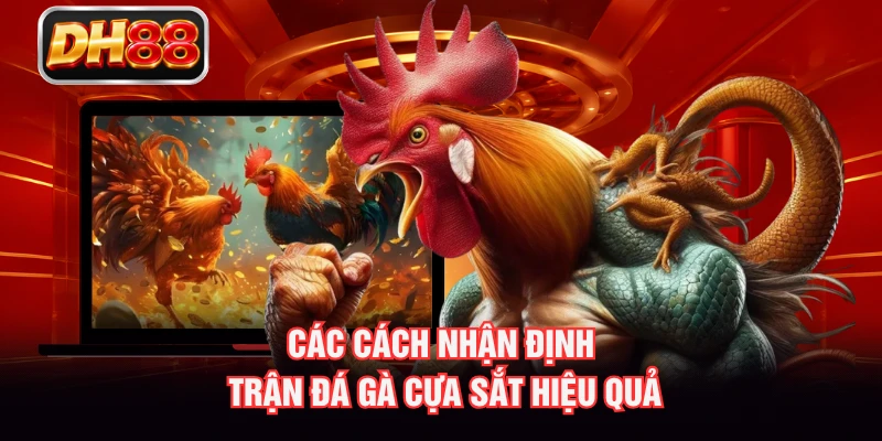 Các cách nhận định trận đá gà cựa sắt hiệu quả