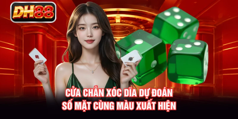 Cửa chẵn xóc dĩa dự đoán số mặt cùng màu xuất hiện