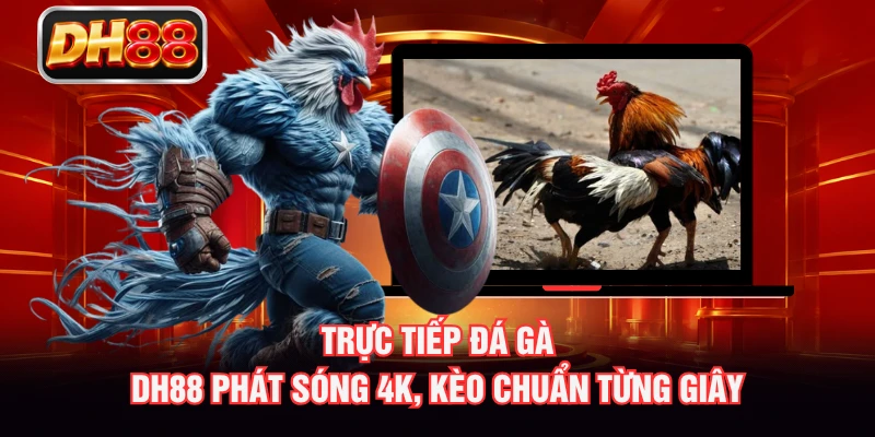 Trực Tiếp Đá Gà - DH88 Phát Sóng 4K, Kèo Chuẩn Từng Giây