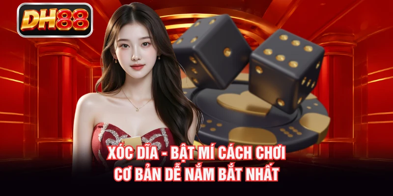 Xóc Dĩa - Bật Mí Cách Chơi Cơ Bản Dễ Nắm Bắt Nhất